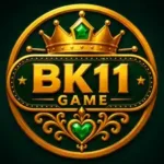 BK11 Game
