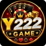 Y222 Game