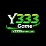 Y333 Game